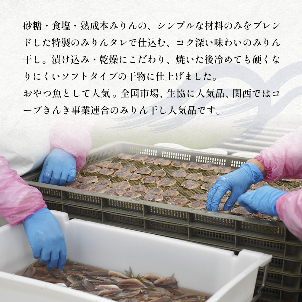 【訳あり】 安心安全！ お手軽調理！ あじ 業務用 みりん干し セット 【氷見みりん干し専門店】味醂干し 干物 おかず 魚 富山県 氷見市