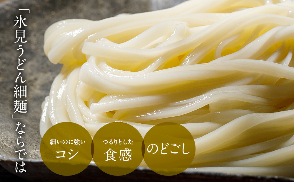 海津屋　氷見うどん細麺１０本・つゆ５袋×２（自家用）簡易箱 富山県 氷見市 乾麺 うどん