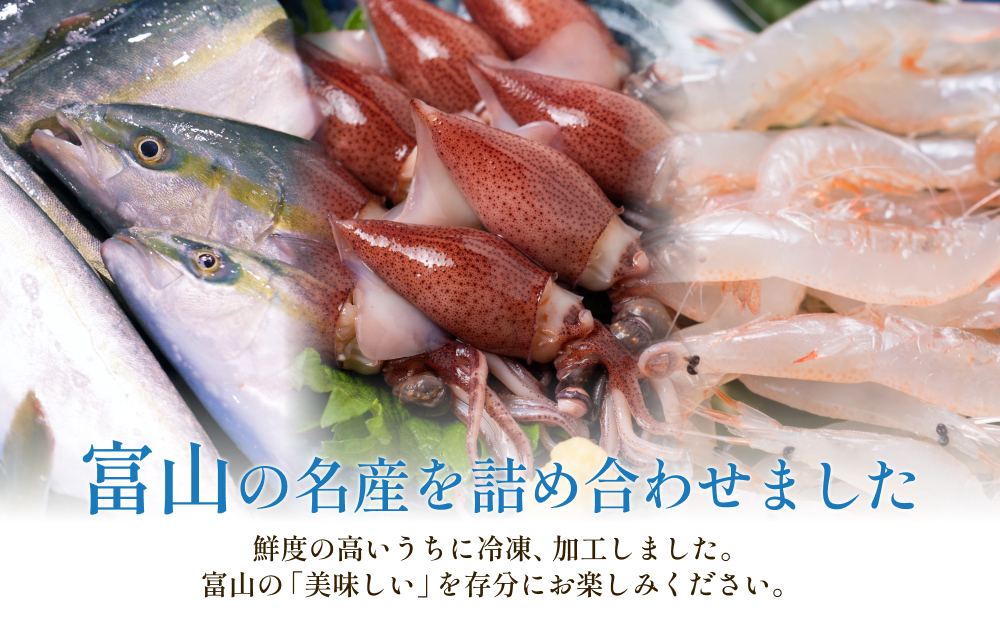 富山湾三大名物・極 鰤 ホタルイカ 白えび つめ合わせ ブリ ほたるいか 富山県 氷見市