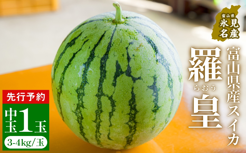 【先行予約】富山県産スイカ 羅皇 中玉 1玉 （3-4kg/玉） 【2026年8月以降順次発送】 スイカ 夏 果物 フルーツ 富山県 氷見市