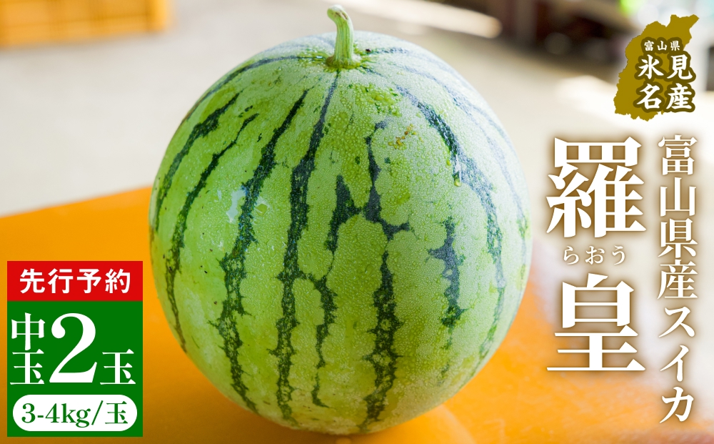 【先行予約】富山県産スイカ 羅皇 中玉 2玉 （3-4kg/玉） 【2026年8月以降順次発送】 スイカ 夏 果物 フルーツ 富山県 氷見市