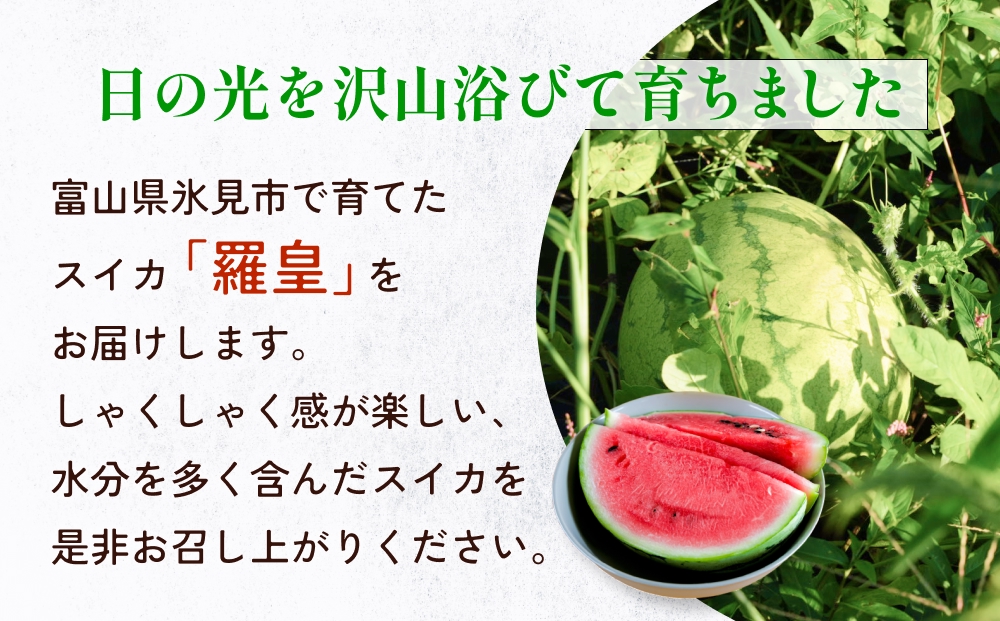 【先行予約】富山県産スイカ 羅皇 中玉 2玉 （3-4kg/玉） 【2026年8月以降順次発送】 スイカ 夏 果物 フルーツ 富山県 氷見市