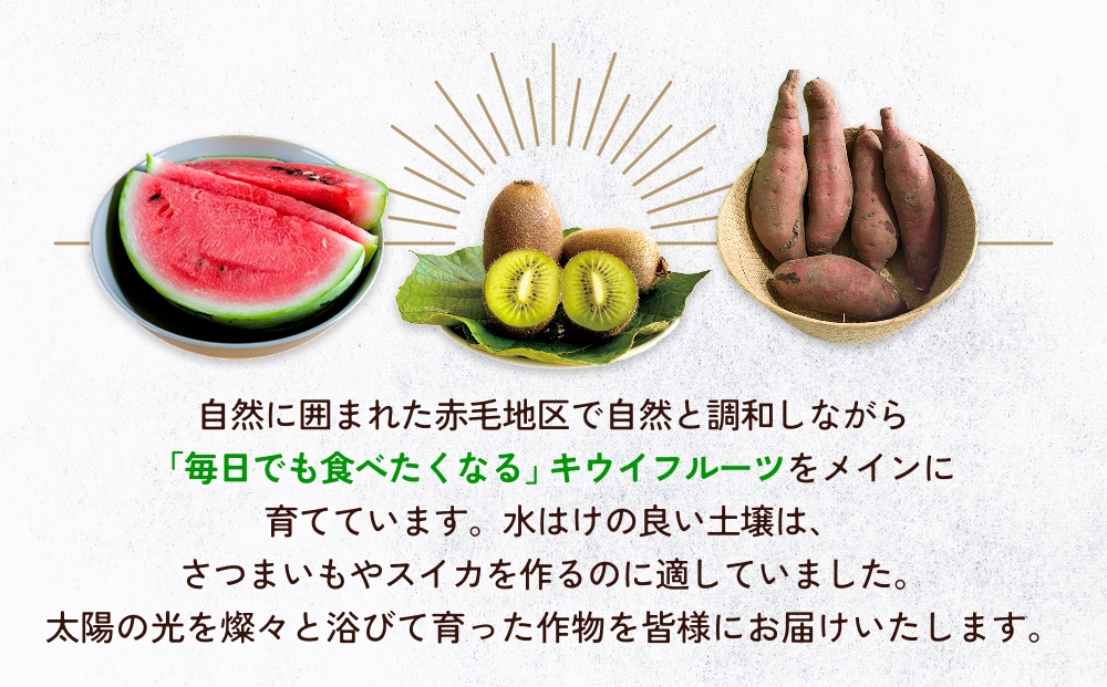 ãå
è¡äºçŽãå¯å±±çç£ã¹ã€ã« çŸ
ç äžç 2ç ïŒ3-4kg/çïŒ ã2026幎8æä»¥éé æ¬¡çºéã ã¹ã€ã« å€ æç© ãã«ãŒã å¯å±±ç æ°·èŠåž