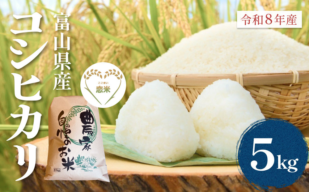 【先行予約】 令和8年産 富山県産 コシヒカリ はざかけ米 5kg 恋米（ここまい） ー天風穂（あまほ）ー ＜2026年10月初旬以降 順次発送予定＞ はざかけ米 はざ掛け 富山県 氷見市