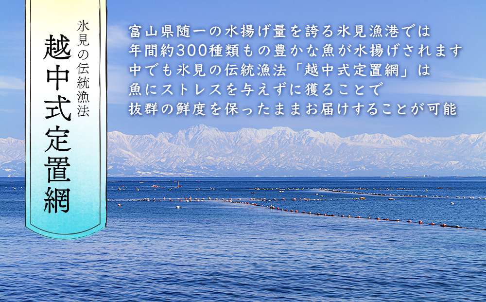 【冷蔵】刺身詰め合わせ（柵） 2-3人前（3種類） | 釣屋魚問屋直営 ひみ岸壁市場