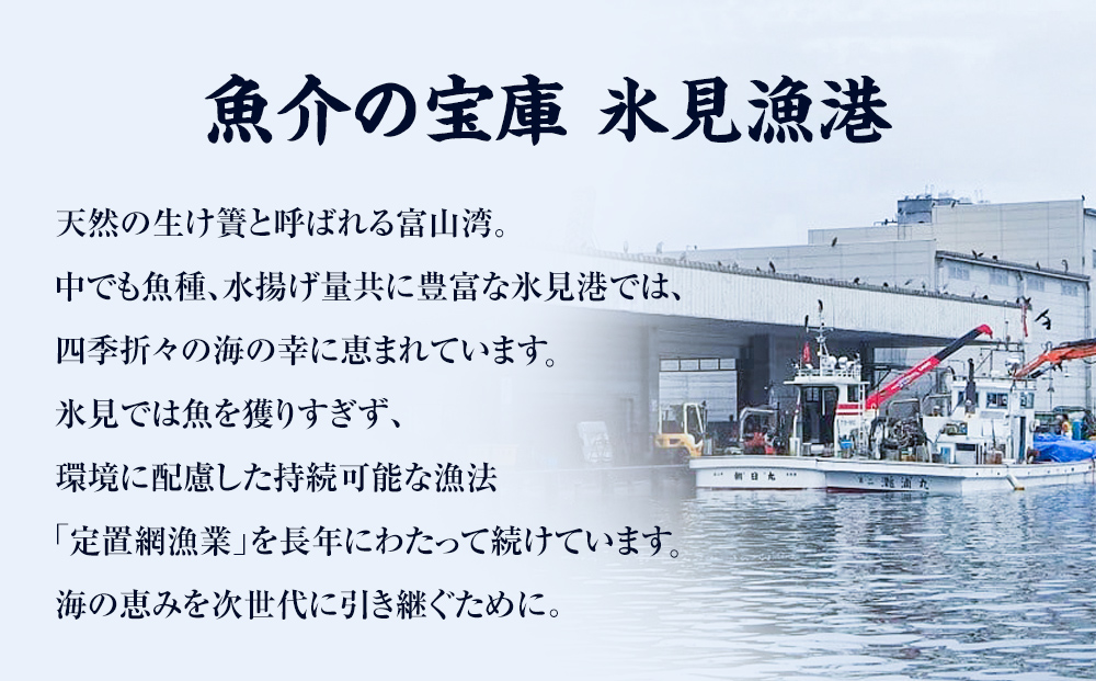 【隔月6回定期便】本物のこだわり！半七の干物 詰め合わせセット  富山県 氷見市 干物 おかず