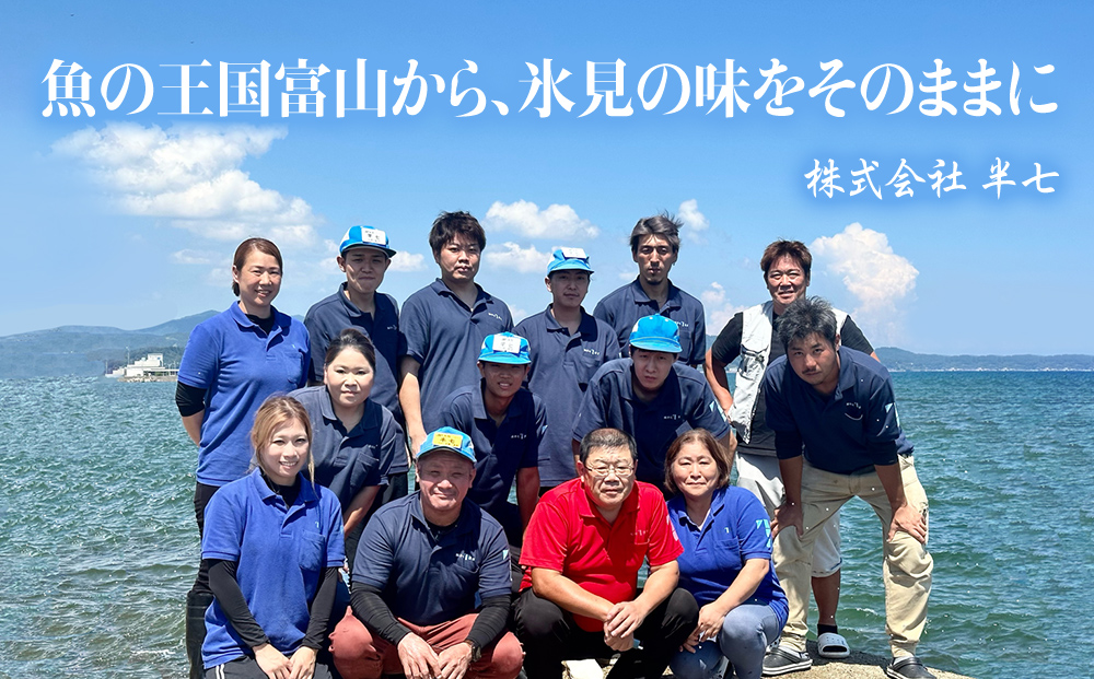 【隔月6回定期便】本物のこだわり！半七の干物 詰め合わせセット  富山県 氷見市 干物 おかず