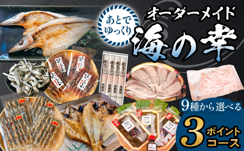 あとでゆっくりオーダーメイド海の幸【３ポイントコース】（のどぐろ・白えび・氷見産ぶり・ほたるいか等から選べる）  富山県 氷見市 干物 ぶりしゃぶ 昆布締め 氷見うどん