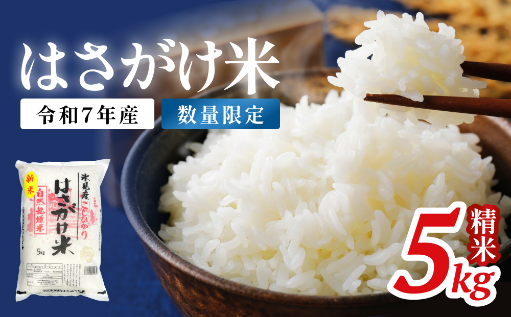 令和７年産 はさがけ米 精米5kg 富山県 氷見市 米 コシヒカリ こしひかり