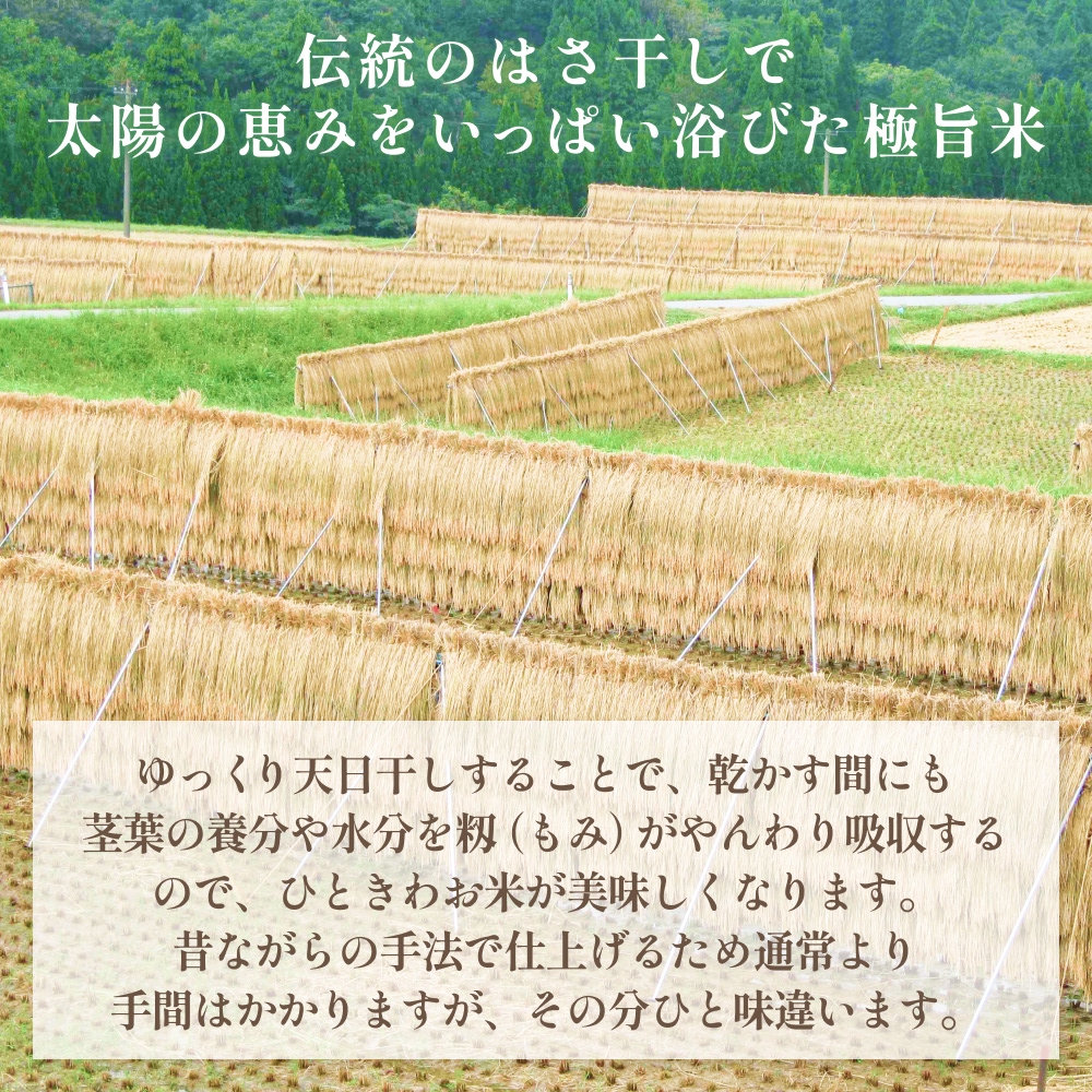 令和７年産 はさがけ米 精米5kg 富山県 氷見市 米 コシヒカリ こしひかり