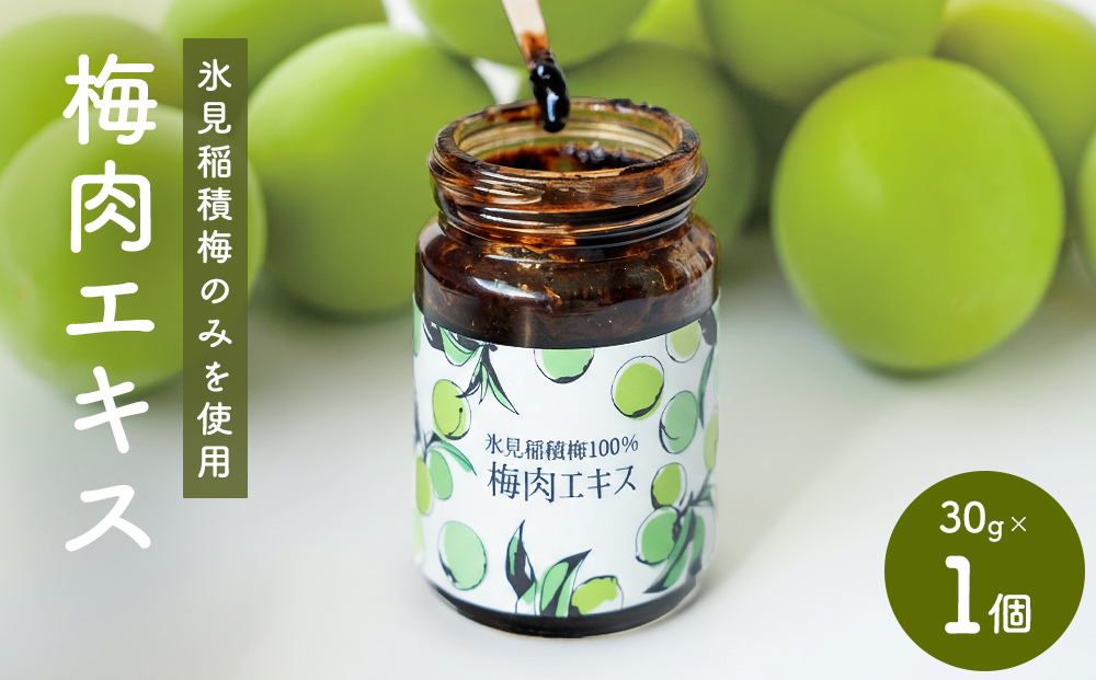 梅肉エキス 氷見稲積梅100% 1個 富山県 氷見市 国産 うめ 青梅 クエン酸