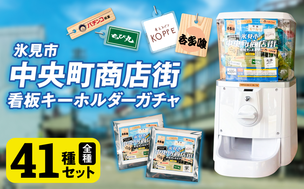 氷見市中央町商店街看板キーホルダーガチャ ［ 全41種コンプリートセット ］ キーホルダー ストラップ ガチャガチャ トレーディング 看板 富山県 氷見市 レトロ