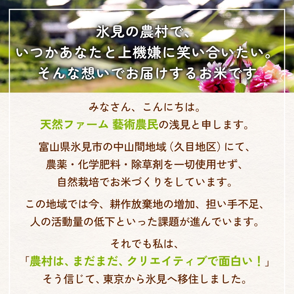 【交響するお米】［古代米ミックス］自然栽培 朝紫&アクネモチ 250g×2袋（ 令和7年産 ） 富山県 氷見市 |  移住農家が里山から直送 米 古代米 紫黒米 緑米
