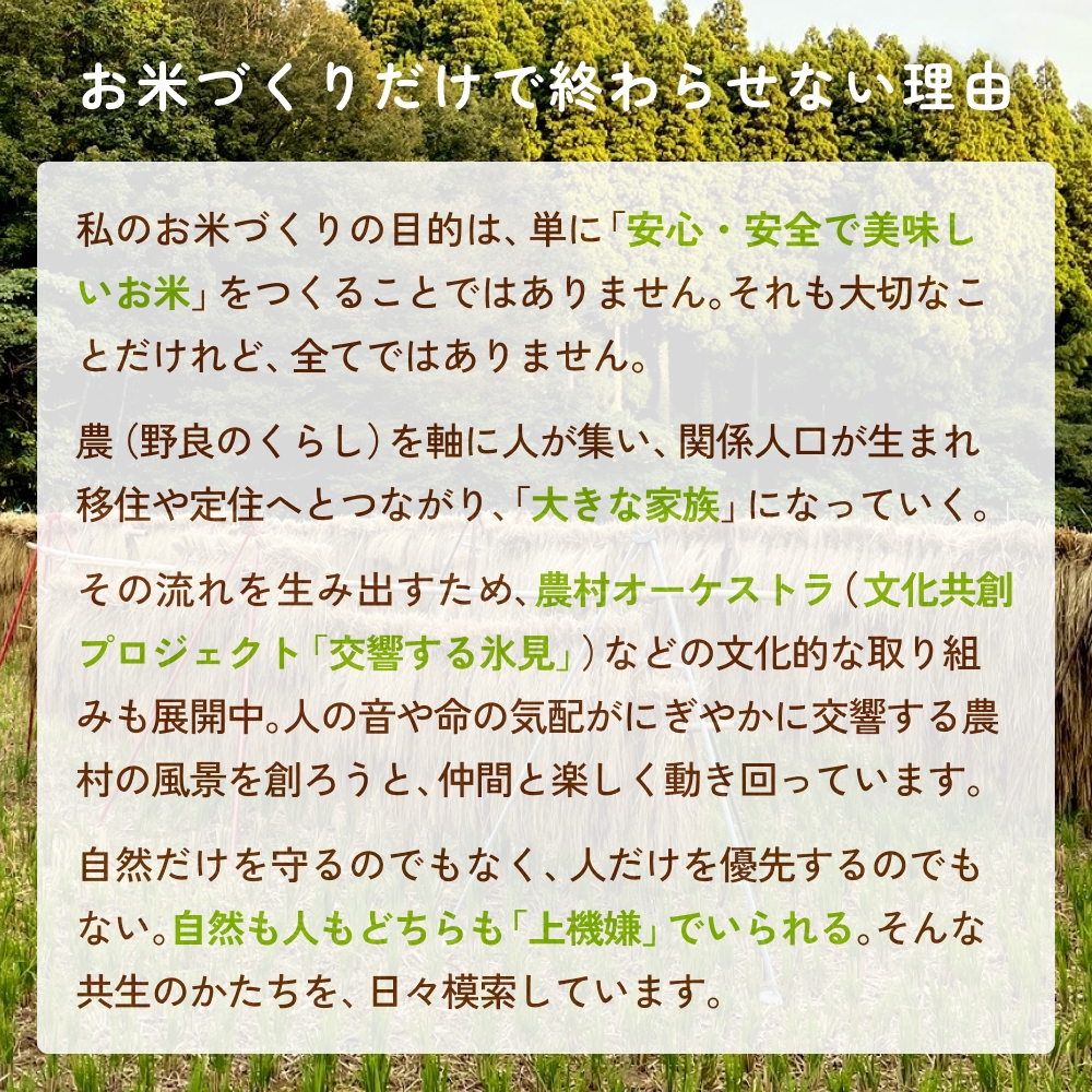 【交響するお米】［古代米ミックス］自然栽培 朝紫&アクネモチ 250g×2袋（ 令和7年産 ） 富山県 氷見市 |  移住農家が里山から直送 米 古代米 紫黒米 緑米