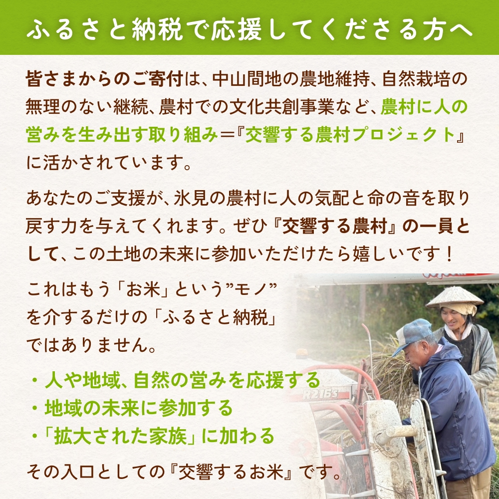 【交響するお米】［古代米ミックス］自然栽培 朝紫&アクネモチ 250g×2袋（ 令和7年産 ） 富山県 氷見市 |  移住農家が里山から直送 米 古代米 紫黒米 緑米