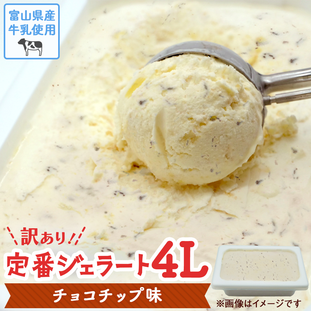 【訳あり】 ジェラート 4L チョコチップ