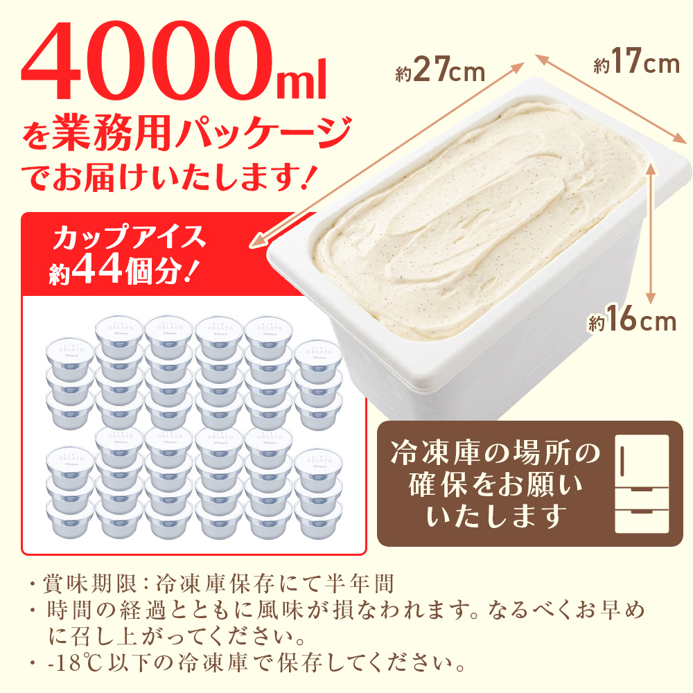 【訳あり】 ジェラート 4L チョコチップ