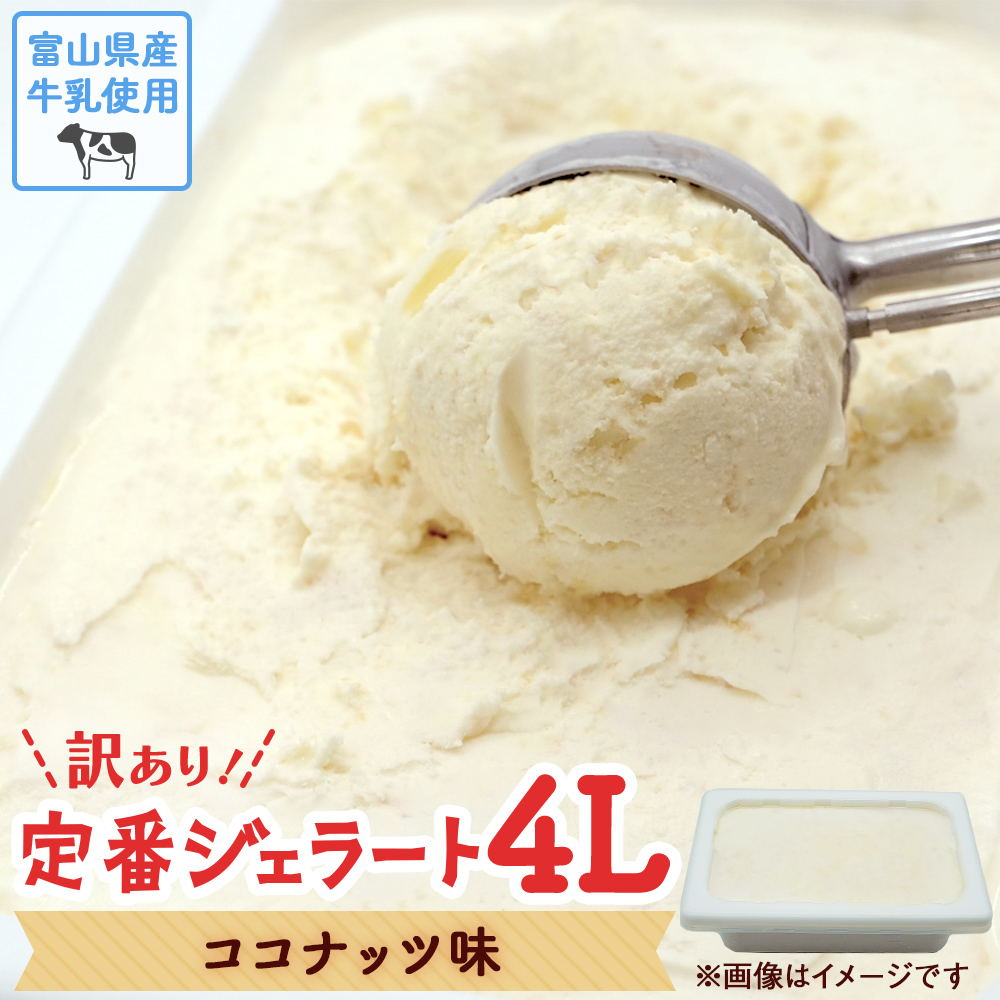 【訳あり】 ジェラート 4L ココナッツ