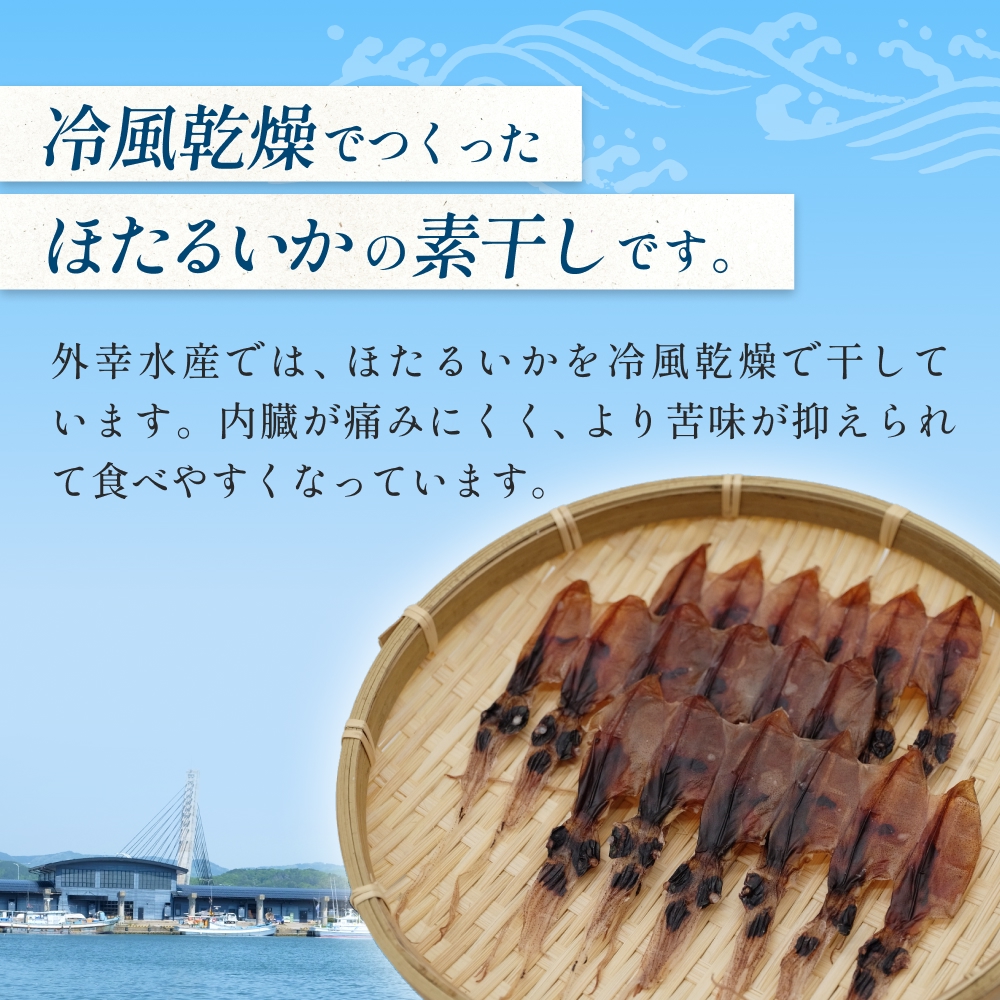ほたるいか 素干し （18尾） 5袋 〈冷蔵〉 富山県 氷見市 ホタルイカ 干物 特産品 おつまみ