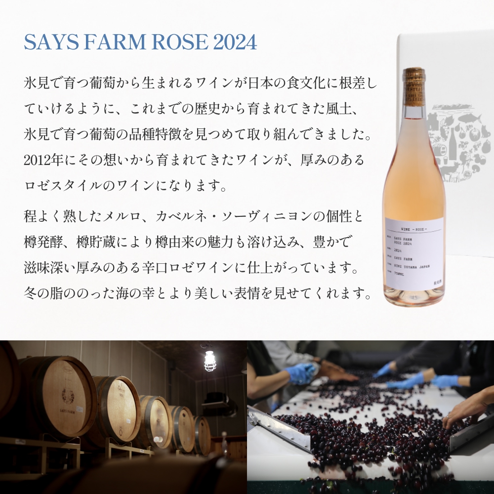 SAYSFARM ROSE2024 ワイン ロゼ 国産 葡萄酒 地ワイン 富山県 氷見市