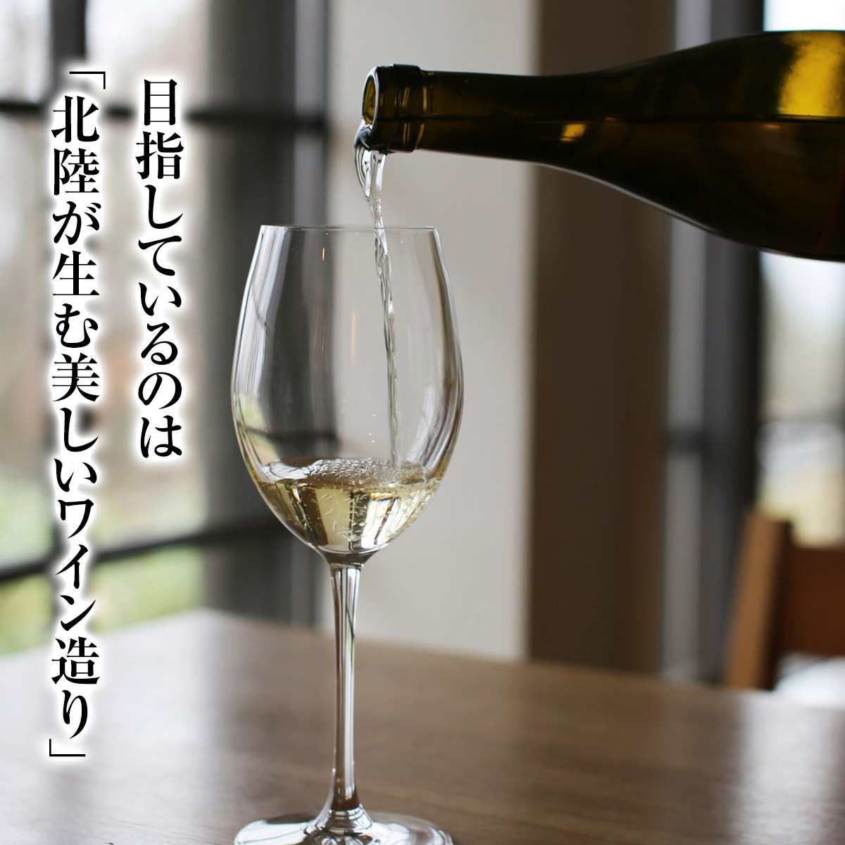 SAYSFARM ROSE2024 ワイン ロゼ 国産 葡萄酒 地ワイン 富山県 氷見市