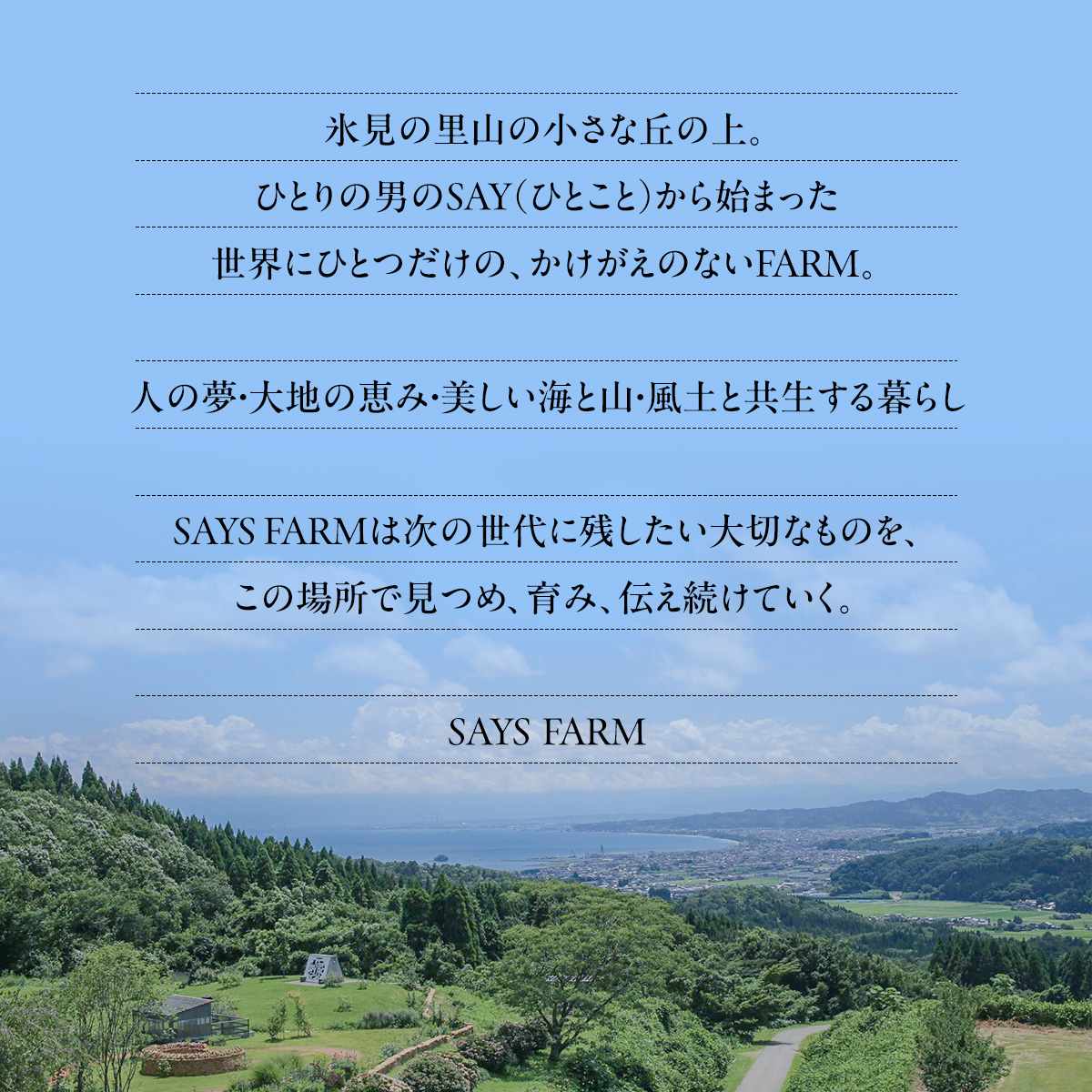 SAYSFARM ROSE2024 ワイン ロゼ 国産 葡萄酒 地ワイン 富山県 氷見市