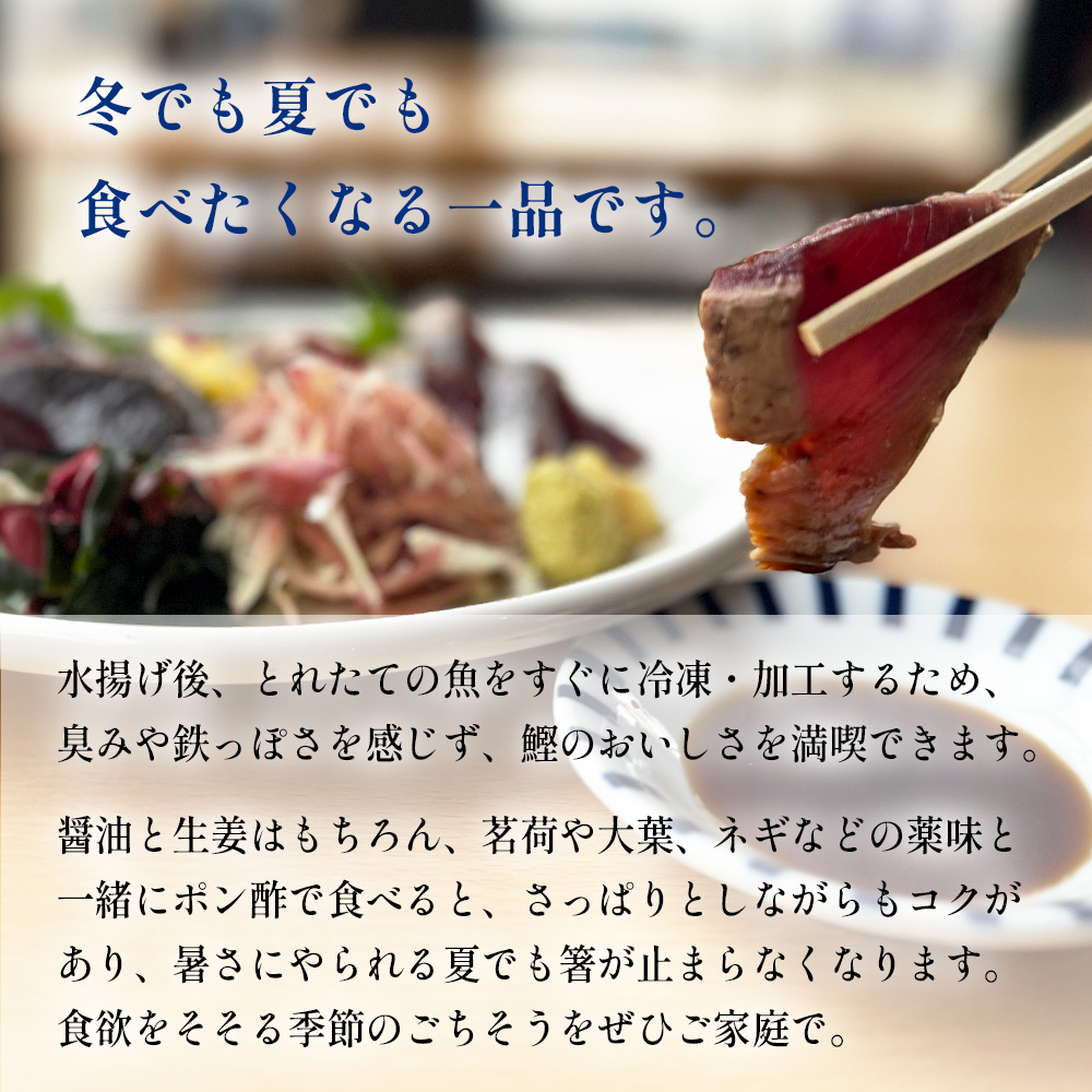 氷見産鰹のたたき 約3人前 × 5袋 刺身 カツオ かつお タタキ おかず 海鮮 富山県 氷見市