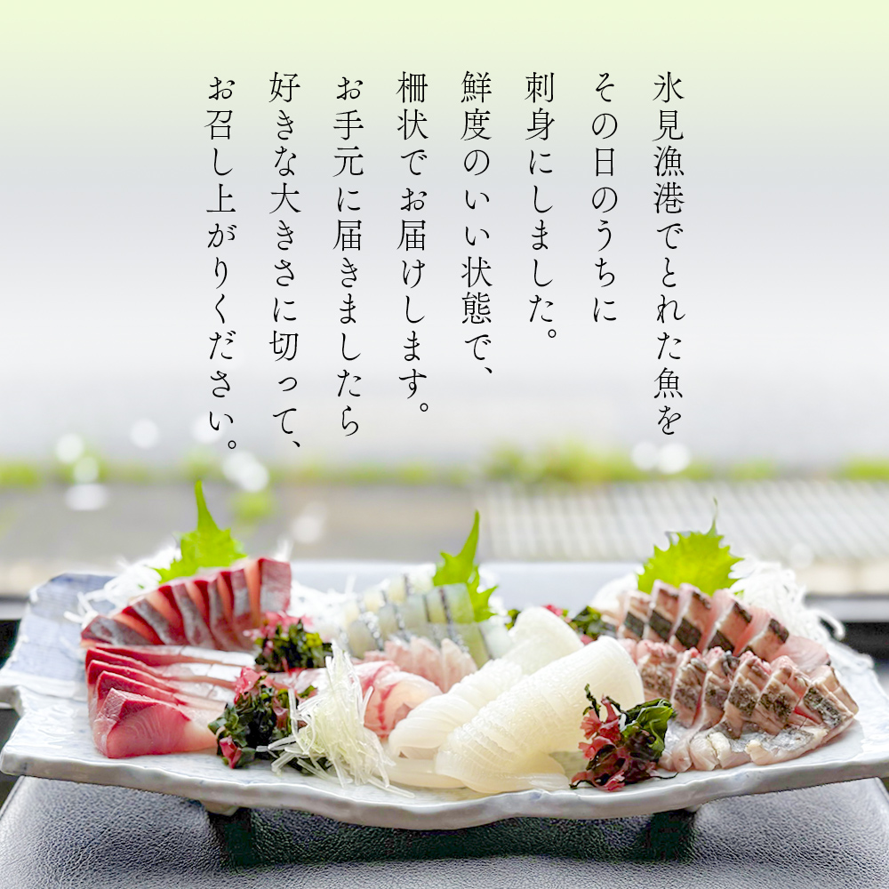 【3回定期便 / 連続お届け】 刺身詰め合わせ （柵） 2-3人前 （3種類）〈冷蔵〉  釣屋魚問屋直営 ひみ岸壁市場