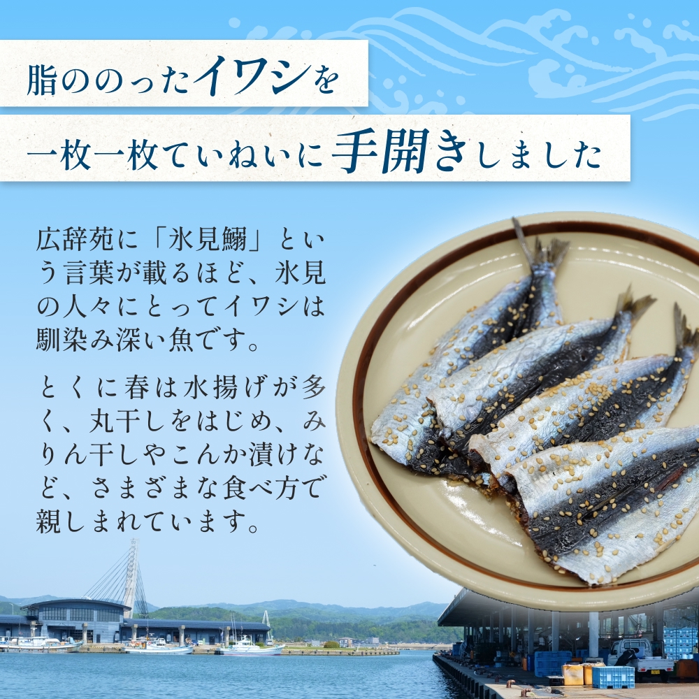 氷見名産 いわしみりん干し （4尾） 4セット 〈冷凍〉 富山県 氷見市 イワシ いわし  干物 みりん干 味醂干し 特産品 おつまみ