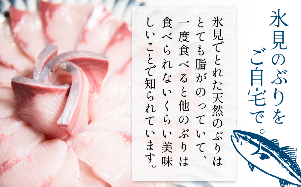 氷見産 天然寒ぶり しゃぶしゃぶ用 250g 富山県 氷見市 ブリ ぶりしゃぶ 鍋