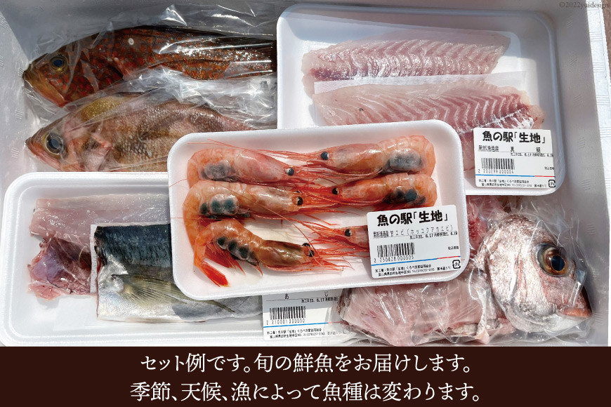 魚 富山湾直送 さばいた鮮魚セット 4～5種 旬 新鮮 鮮魚 刺身 詰め合わせ 産地直送 冷蔵/くろべ漁業協同組合 魚の駅「生地」/富山県 黒部市