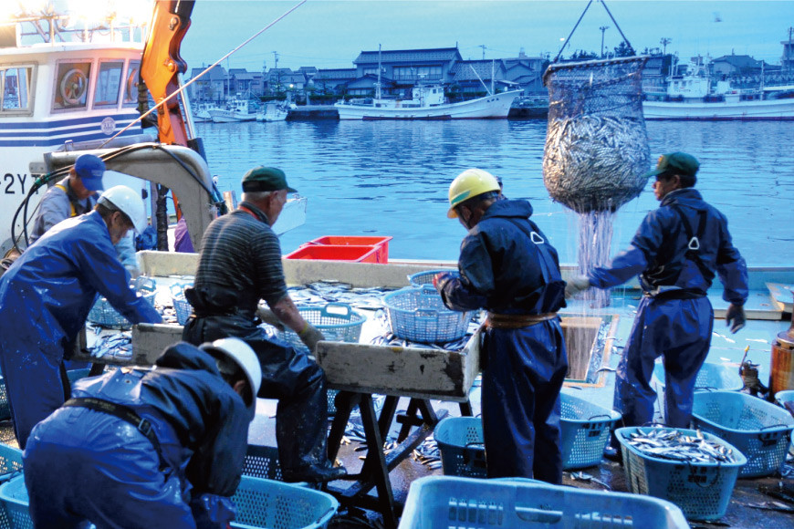 魚 富山湾直送 さばいた鮮魚セット 3～4種 旬 新鮮 鮮魚 刺身 詰め合わせ 産地直送 冷蔵/くろべ漁業協同組合 魚の駅「生地」/富山県 黒部市