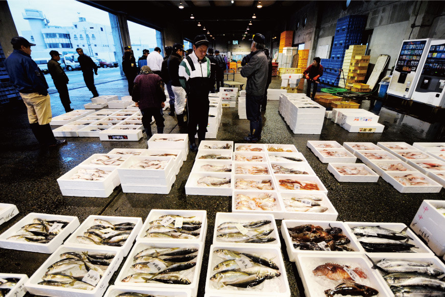 魚 富山湾直送 さばいた鮮魚セット 3～4種 旬 新鮮 鮮魚 刺身 詰め合わせ 産地直送 冷蔵/くろべ漁業協同組合 魚の駅「生地」/富山県 黒部市