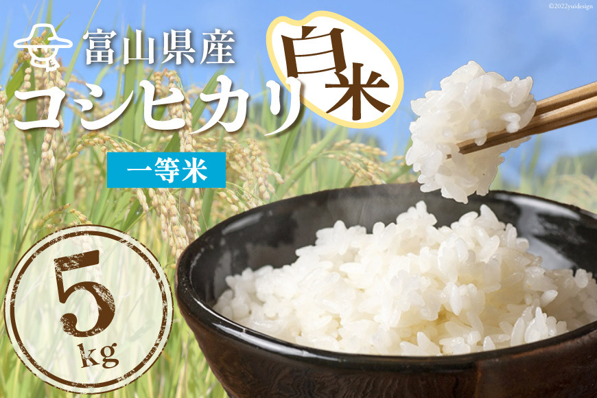 米 精米 コシヒカリ 5kg コメ ご飯 ごはん 白米/林農産/富山県 黒部市