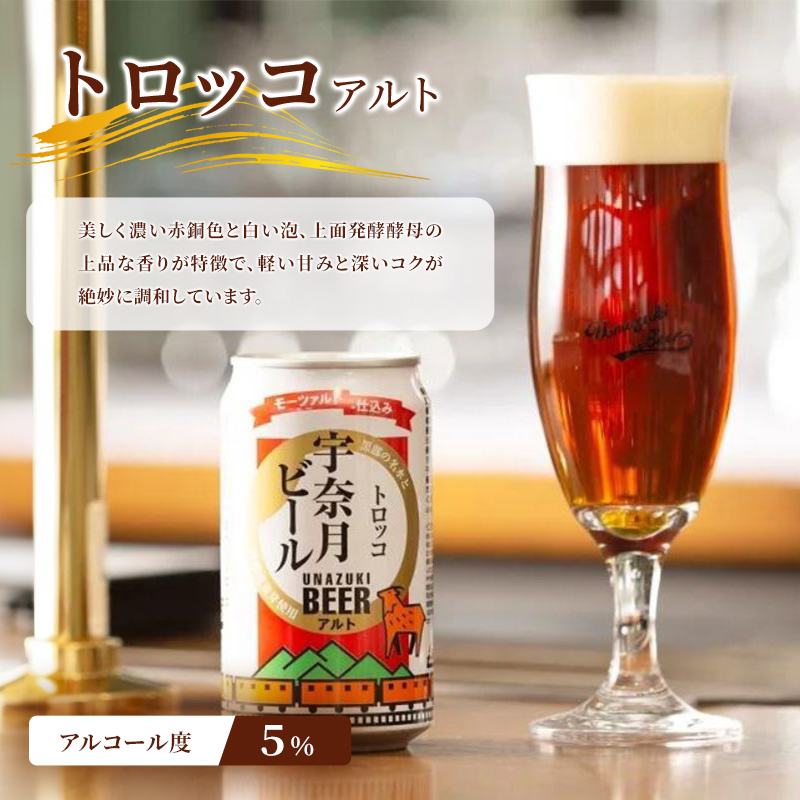 ビール ふるさと定期便　宇奈月ビール6缶セット×6回（6か月連続発送）/地ビール クラフトビール 北陸 缶/富山県黒部市 飲み比べ お酒 酒 