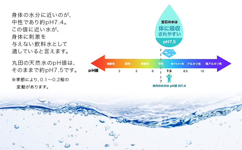 水 【20パック】宝石の水　1L×20パック/非常用 備蓄用 常温 常温保存 備蓄水/北陸/丸田工業株式会社/富山県黒部市