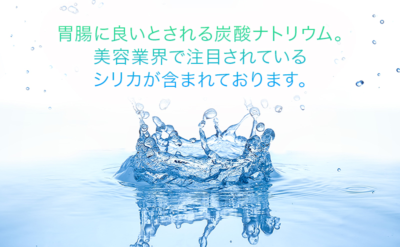 水 【20パック】宝石の水　1L×20パック/非常用 備蓄用 常温 常温保存 備蓄水/北陸/丸田工業株式会社/富山県黒部市