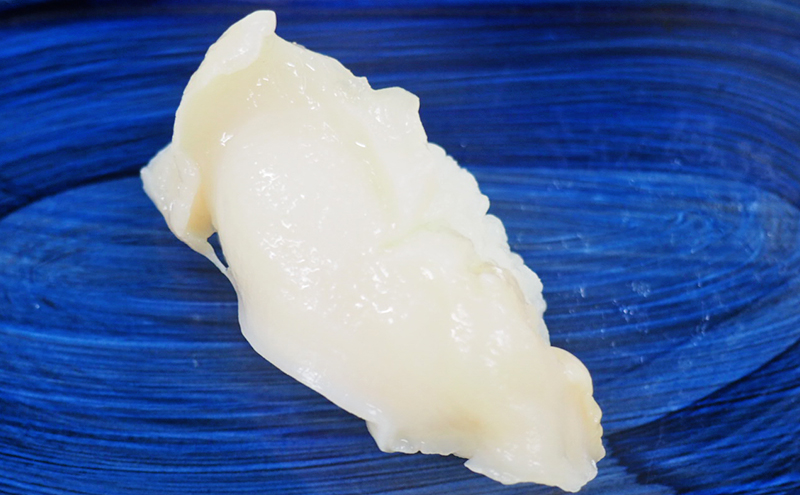 富山のお寿し5貫盛り「黒部」活バイ貝5貫 お寿司 魚介類 