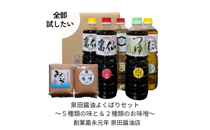 泉田醤油よくばり調味料セット 醤油 しょうゆ だし 出汁 味噌 酢 調味料 人気 詰め合わせ 詰合せ セット 富山県 黒部市 黒部