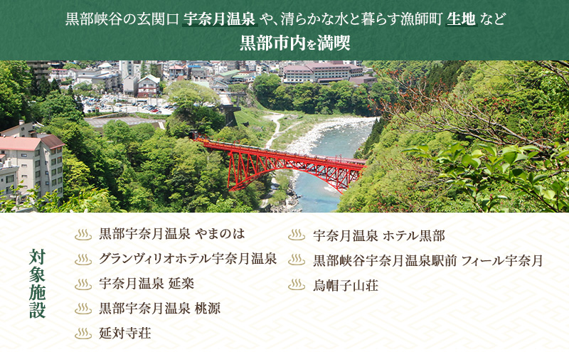黒部市宿泊ギフト券 3,000円分 チケット 宿泊券 ギフト券 温泉 旅行 宿 旅館 観光 黒部 宇奈月