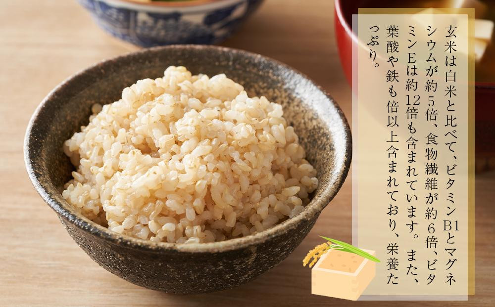 【令和7年産】定期便・隔月６回  富山県産こしひかり 育（はぐくみ）玄米３０kg《南砺の逸品》