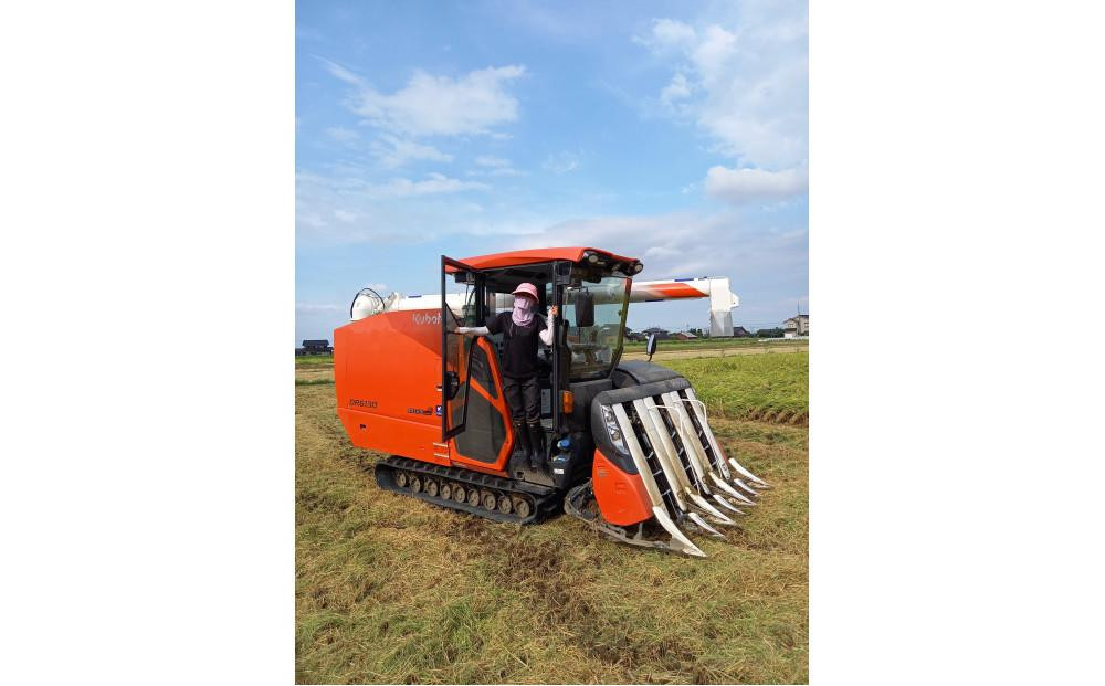 ã什å7幎ç£ãã¿ã©ããµããŒãã®ããã ããçç±³30kg