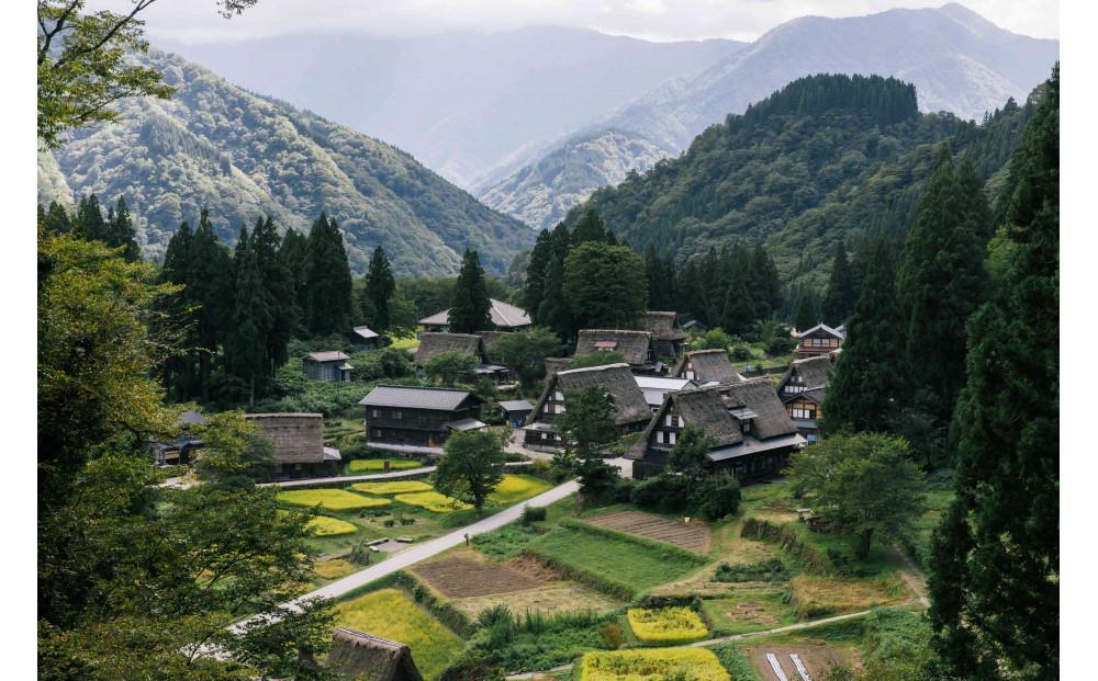 1çµã ãã®ãã©ã€ããŒããäºç®å±±åæé ãã¹ãã€ïŒäŒçµ±èžèœããããéè³ã 宿æ³ãã©ã³ 1æ³2é£ä»ã ïŒåæ§ãŸã§ãå©çšå¯èœ