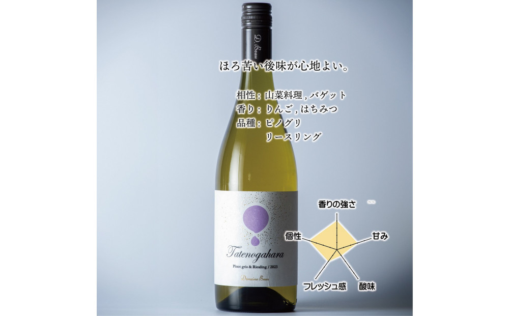 立野原 ピノグリ&リースリング 2023 ワイナリー風景ポチ袋5枚セット付き