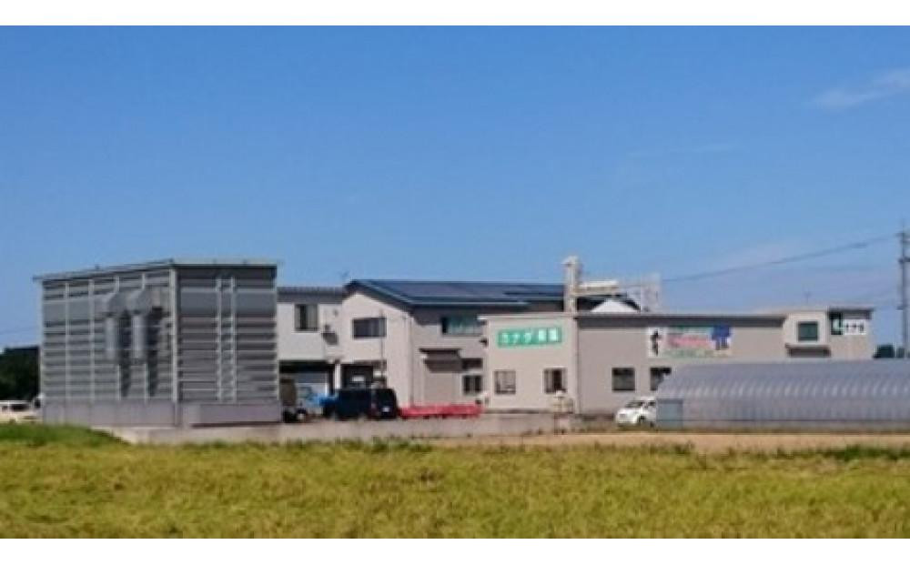 ã什å7幎ç£ãå®æäŸ¿ã»éæïŒå å¯å±±çç£ããã²ãã è²ïŒã¯ããã¿ïŒçç±³ïŒïŒkgãåç ºã®éžåã