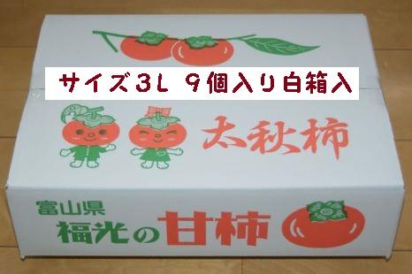 甘柿　太秋柿3L×9個入（2.25kg以上） 白箱入り【2024年10月20日以降発送】