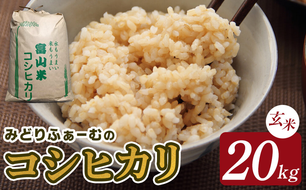 縲蝉サ、蜥7蟷エ逕」縲代∩縺ゥ繧翫オ縺√シ繧縺ョ繧ウ繧キ繝偵き繝ェ 邇邀ウ 20kg