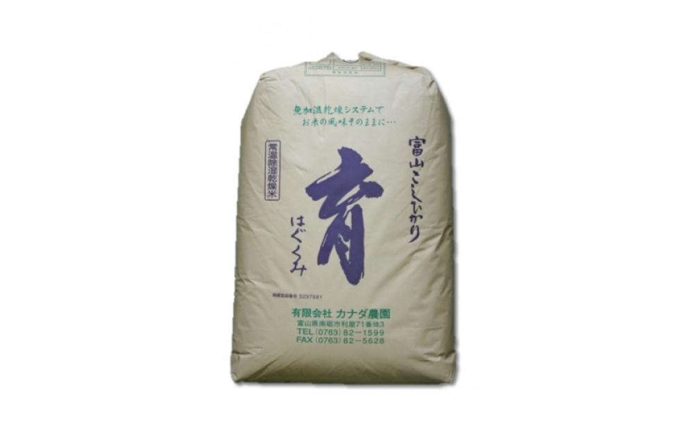 定期便・隔月６回  富山県産こしひかり 育（はぐくみ）玄米３０kg《南砺の逸品》