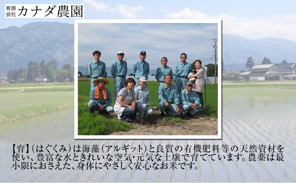 【令和6年産】富山県産こしひかり　育（はぐくみ）白米２個セット《南砺の逸品》