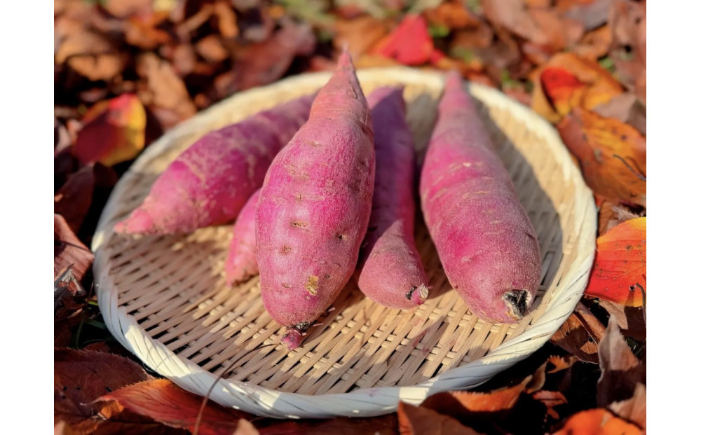 螳臥エ崎葛縲5kg縲蟇悟アア逵